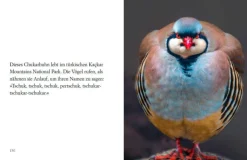 »Du siehst aus, wie ich mich fühle« -Buch