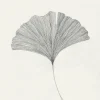 Frois, Ana: »Ginkgo Leaf«