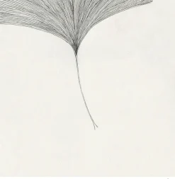 Frois, Ana: »Ginkgo Leaf«, mit Rahmung