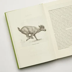 Halliday, Thomas: Urwelten