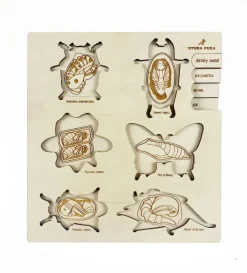 Holzpuzzle »Leben des Käfers«