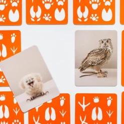 Memo »Klein und Groß«