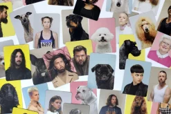 Memo »Siehst du aus wie dein Hund?«