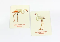 Memo Spiel »Vogelpaare«