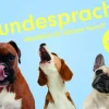 Memo-Spiel »Hundesprache - Verstehst du deinen Hund?«