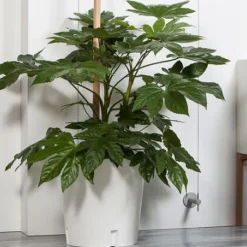 Mobiler Pflanzkübel