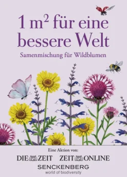 Samentütchen Feld- oder Wildblumen »1 Quadratmeter«