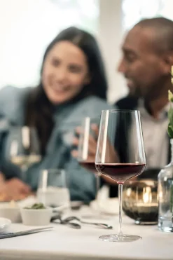 Weingläser Sommelier-Bundle »Vervino«