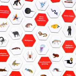 Wimmel Such Spiel »Erste*r sein!«